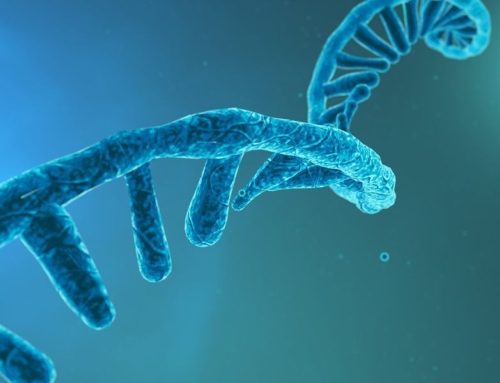 Back to the basics: RNA extraction