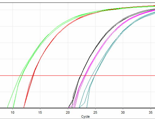 NextGen sequencing and qPCR, the perfect match