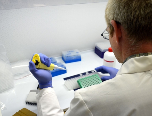 How to Choose the Right Endogenous Control Genes for Your qPCR Experiment