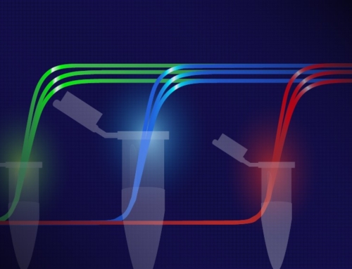 Back to the basics III: qPCR methodology