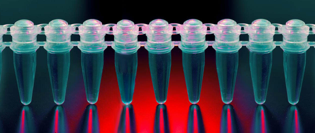 qPCR tubes for gene expression analysis by TaqMan or SYBR Green reagents