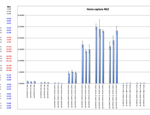 qPCR Data Analysis Explained: Understanding Ct Values, ΔΔCt, and Fold Change